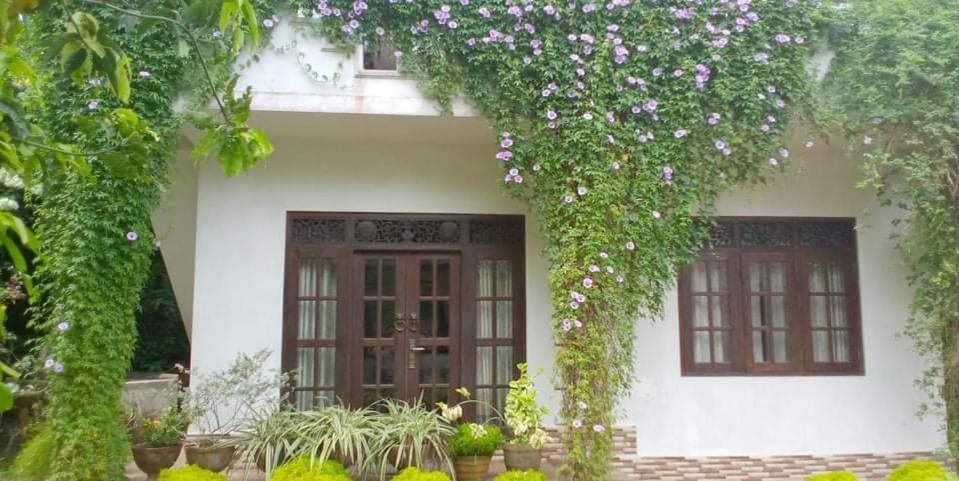 كالي Abha Villa المظهر الخارجي الصورة