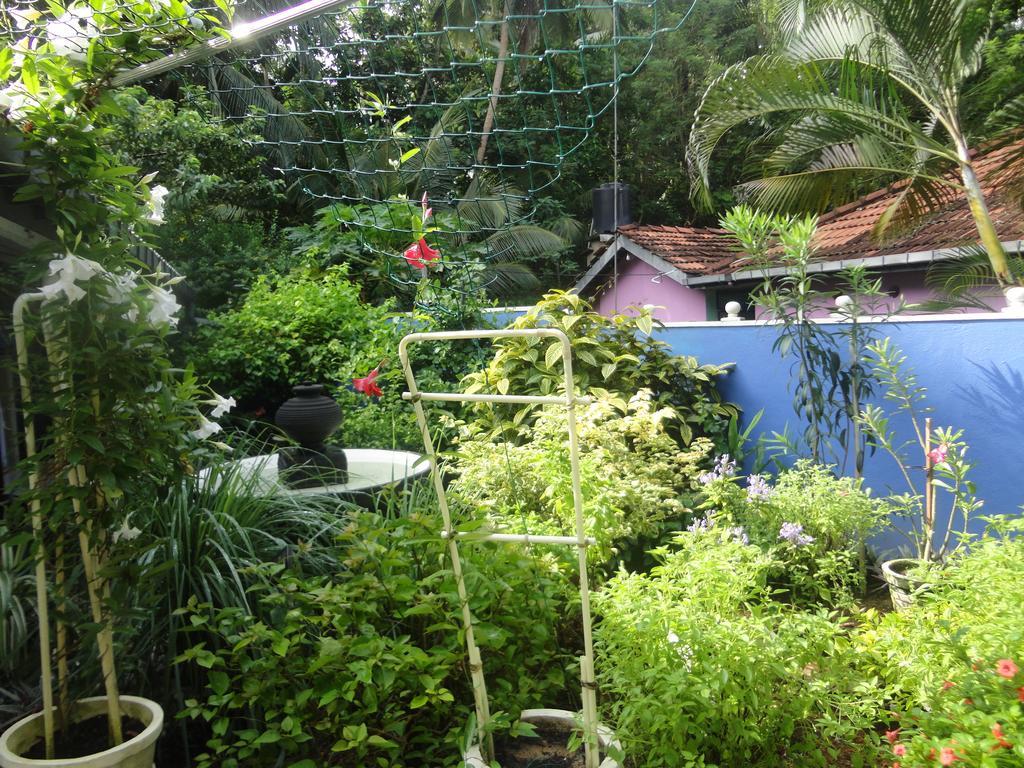 كالي Abha Villa المظهر الخارجي الصورة